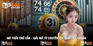 Mơ Thấy Chó Cắn – Giải Mã Từ Chuyên Gia S666 Cực Chuẩn